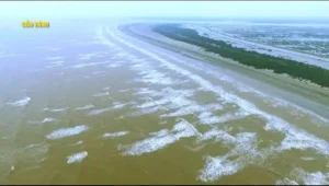 Bãi biển cồn Đen