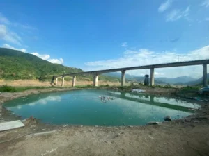 Cầu Bản Xá
