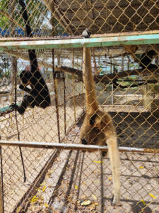 Công viên Mỹ Thới