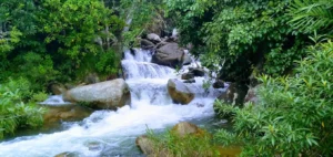 Thác SaVin - Bác Ái - Ninh Thuận