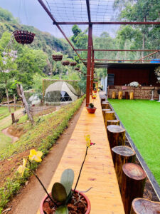 Thung Lũng Hoa Trên Đá