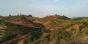 Trang trại hồ Mường Bi