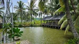 Vườn sinh thái Hoa Súng