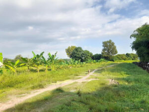 cu chi boutique farmstay