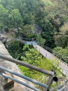 Đỉnh Cây Đa