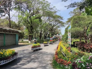 Khu Du Lịch Đồi Tức Dụp