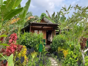 Khu du lịch Hoa Rừng U Minh