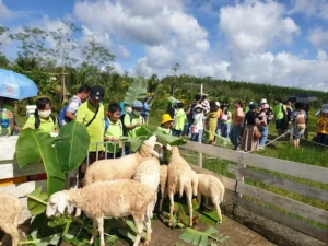 Khu du lịch Hoa Rừng U Minh