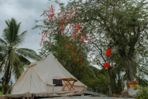 Phú Điền Homestay