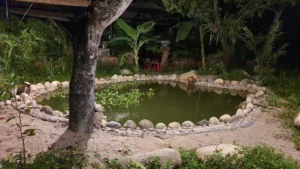 Suối nước nóng Vĩnh Thạnh