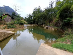 Suối cá Thần Cẩm Liên