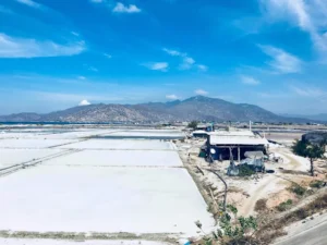 Cánh Đồng Muối Phước Diêm