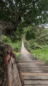 Cầu Treo La Bá