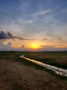 Hạt Cỏ Eco Farmstay