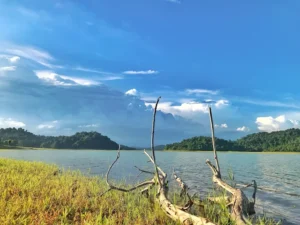 Khu du lịch sinh thái Camping Xuân Thái