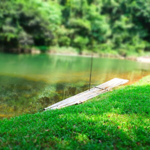 Khu nghỉ dưỡng Suối Lâm nằm ở thành phố Hạ Long, tỉnh Quảng Ninh là một điểm đến du lịch nổi tiếng với thiên nhiên tươi đẹp.