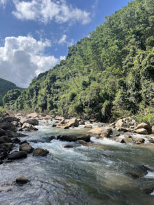 Khu nghỉ dưỡng Suối Lâm nằm ở thành phố Hạ Long, tỉnh Quảng Ninh là một điểm đến du lịch nổi tiếng với thiên nhiên tươi đẹp.