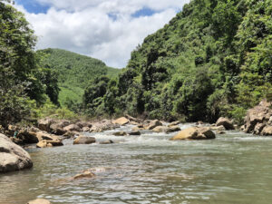 Khu nghỉ dưỡng Suối Lâm nằm ở thành phố Hạ Long, tỉnh Quảng Ninh là một điểm đến du lịch nổi tiếng với thiên nhiên tươi đẹp.