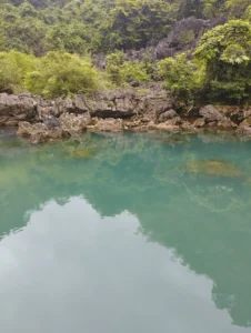 Lũng Tó Ngọc Động