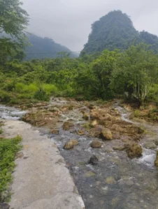 Lũng Tó Ngọc Động