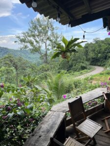 Trạm Dừng Chân Đồi Hoa Giấy