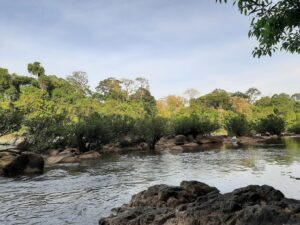 Vườn Quốc Gia Nam Cát Tiên