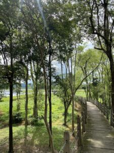 Vườn Quốc Gia Nam Cát Tiên