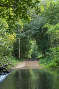 Vườn Quốc Gia Nam Cát Tiên