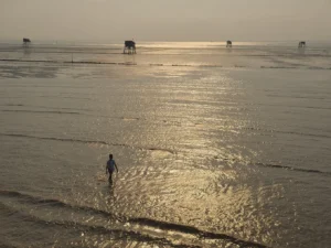 Đảo Nẹ - Hậu Lộc - Thanh Hoá