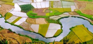 Đỉnh Nà Lay