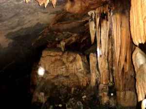 Khu Bảo tồn Thiên nhiên bắc Hướng Hóa