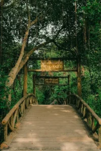 Khu Di Tích Xẻo Quýt