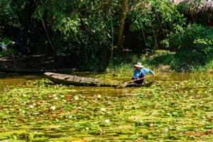 Khu Di Tích Xẻo Quýt