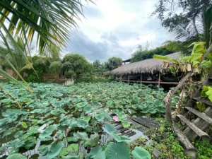 Mộc Villas