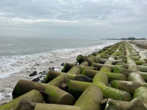 Mũi biển Nghĩa An