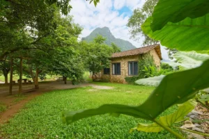 Phong Sơn Retreat