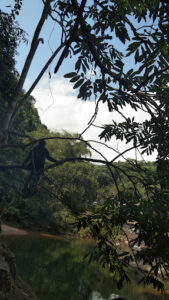 Thác Diệp Cày