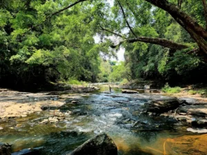Thác Thủy Tiên