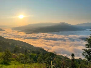 Thảo nguyên Suối Thầu