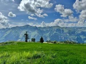 Thảo nguyên Suối Thầu