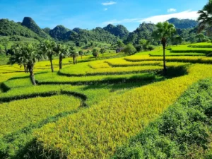 Bản Tèn