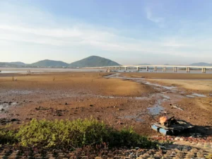 Cầu Cửa Nhượng