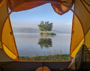 Cây Cô Đơn Hồ Phú Ninh