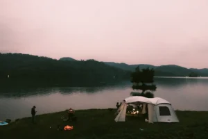 Cây Cô Đơn Hồ Phú Ninh