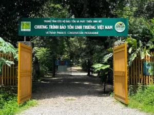 Endangered Primate Rescue Center