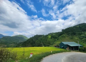 Thung lũng Xuân Trường