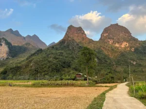 Thung lũng Xuân Trường