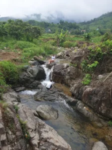 Tuyệt tình cốc Khe Ngàn