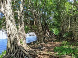 Khu du lịch sinh thái Hàn Tam Đẳng