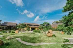 Bảo Tàng Trà Long Đỉnh